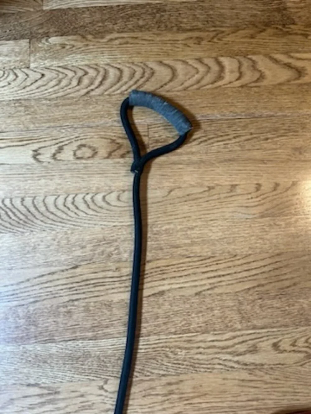Dog Leashes plus light collar